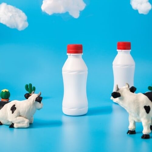 調味料の捨て方③牛乳パックや新聞紙がないときの方法は？