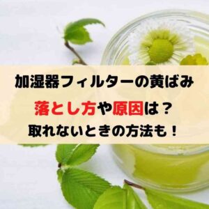 加湿器フィルターの黄ばみの落とし方や原因は？取れないときの方法も！
