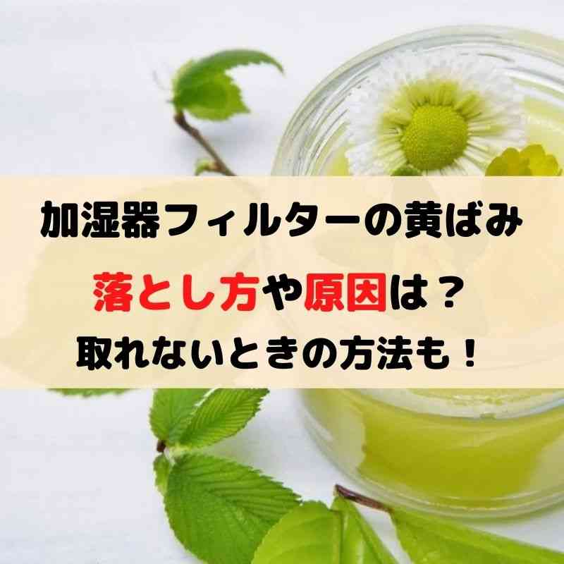 加湿器フィルターの黄ばみの落とし方や原因は？取れないときの方法も！